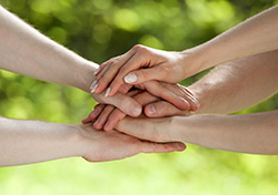 SCHERM Group - responsibility | Local initiatives near our locations